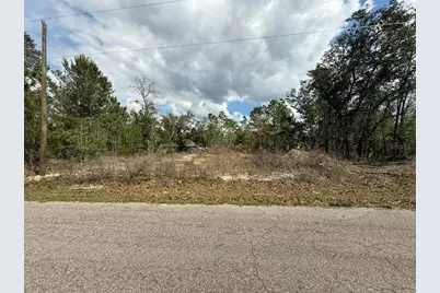 19 Fisher Lane Track, Ocklawaha, FL 32179 - Photo 1