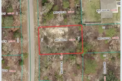 19 Fisher Lane Track, Ocklawaha, FL 32179 - Photo 2