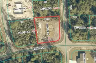 189 Fisher Ct, Ocklawaha, FL 32179 - Photo 1