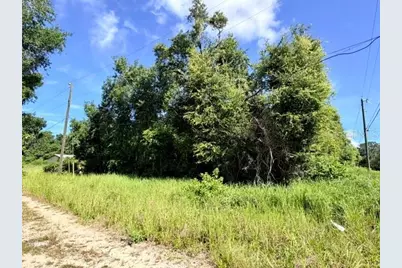 Ne 249th Court, Salt Springs, FL 32134 - Photo 1