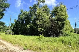 NE 249th Ct, Salt Springs, FL 32134 - Photo 1