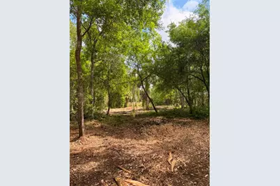 8401 Amelia Trail, Kissimmee, FL 34747 - Photo 16