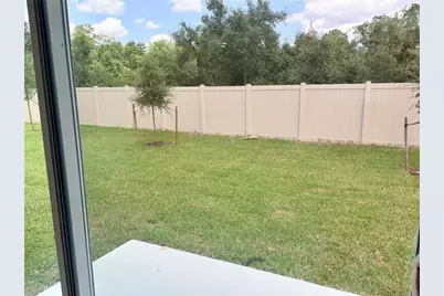 1349 Sawgrass Hammock Lane, Davenport, FL 33837 - Photo 12