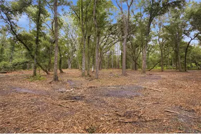 0 Old Dade City Road, Kathleen, FL 33849 - Photo 22