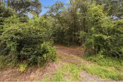 0 Old Dade City Road, Kathleen, FL 33849 - Photo 16