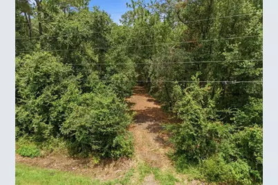 0 Old Dade City Road, Kathleen, FL 33849 - Photo 24