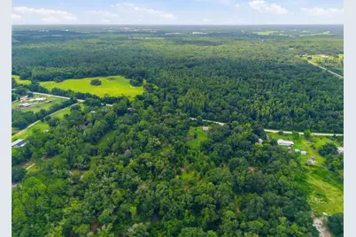 0 Old Dade City Road, Kathleen, FL 33849 - Photo 8