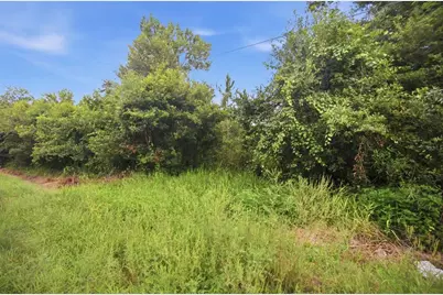 0 Old Dade City Road, Kathleen, FL 33849 - Photo 14