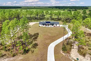 3890 SE 139 Terrace, Morriston, FL 32668 - Photo 8