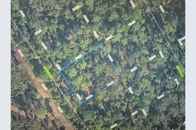 3168 Avocado Avenue, Sebring, FL 33875 - Photo 2