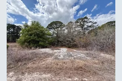 612 Twilight Dr Lot 31, Lake Placid, FL 33852 - Photo 2