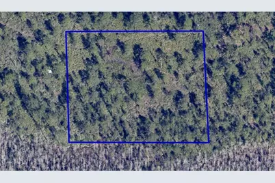 Dill Road, Orlando, FL 32820 - Photo 6