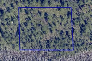 Dill Rd, Orlando, FL 32820 - Photo 6