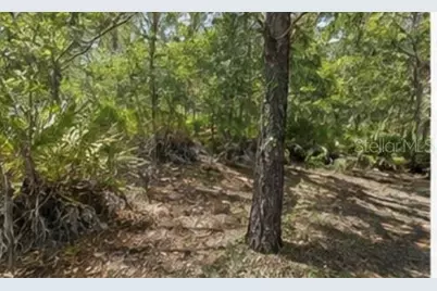 1231 Camilo Street, Lake Placid, FL 33852 - Photo 4