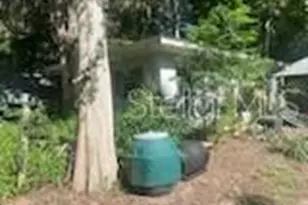 14427 SE 183rd Pl, Hawthorne, FL 32640 - Photo 6