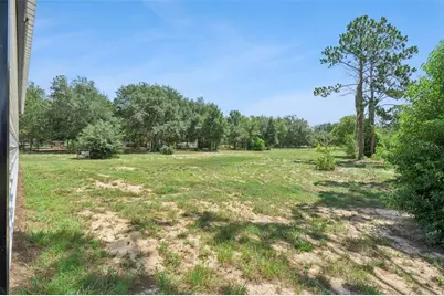 7739 N Cherry Lake Groves Road, Groveland, FL 34736 - Photo 34