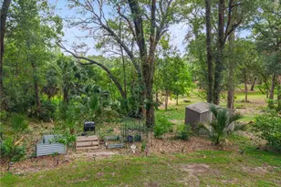 1937 Hidden Pine Ln, Apopka, FL 32712 - Photo 44