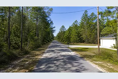 Fisher Crse, Ocklawaha, FL 32179 - Photo 2