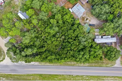 State Road 44, Eustis, FL 32726 - Photo 6