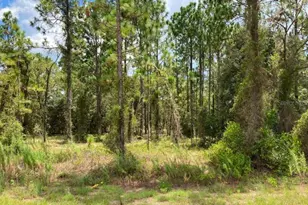 Tbd SW Neptune Blvd, Dunnellon, FL 34431 - Photo 1