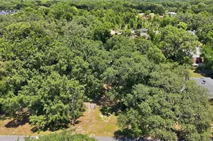 3104 Garden Rd, Eustis, FL 32726 - Photo 38