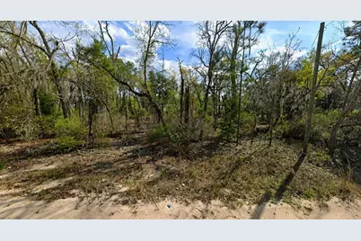 Claudia Street, Interlachen, FL 32148 - Photo 1