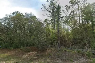 7745 N Maltese Dr, Citrus Springs, FL 34433 - Photo 1