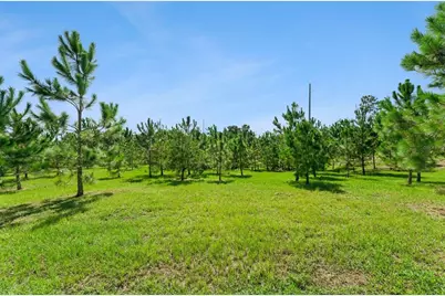 2766 Bobcat Chase Boulevard, Winter Garden, FL 34787 - Photo 42