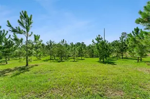 2766 Bobcat Chase Blvd, Winter Garden, FL 34787 - Photo 42