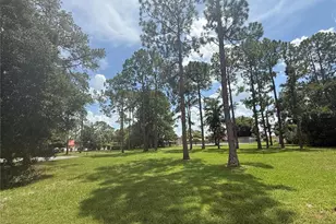 10636 Whitman Cir, Orlando, FL 32821 - Photo 4
