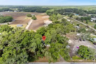 6005 Ike Smith Rd, Plant City, FL 33565 - Photo 34