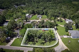 25911 Aberdovey Ave, Sorrento, FL 32776 - Photo 4