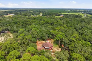 6850 Round Lake Rd, Mount Dora, FL 32757 - Photo 60