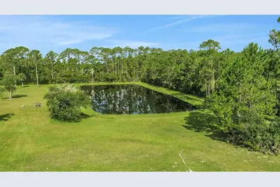 260 Spring Forest Drive, New Smyrna Beach, FL 32168 - Photo 72