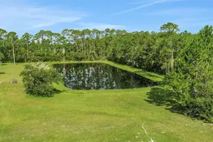 260 Spring Forest Dr, New Smyrna Beach, FL 32168 - Photo 72