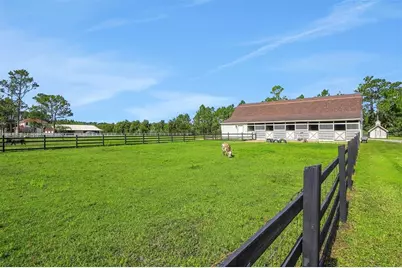 260 Spring Forest Drive, New Smyrna Beach, FL 32168 - Photo 56