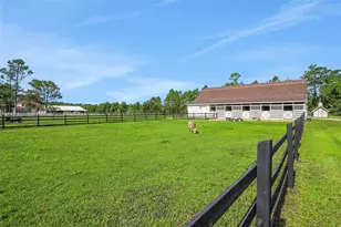 260 Spring Forest Dr, New Smyrna Beach, FL 32168 - Photo 56