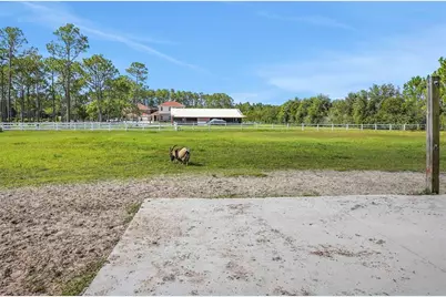 260 Spring Forest Drive, New Smyrna Beach, FL 32168 - Photo 60
