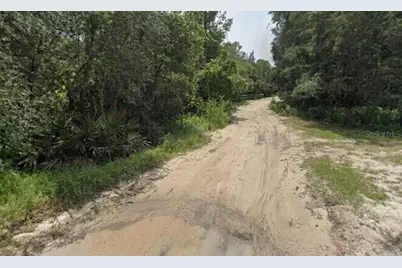 Pine Valley Drive, Paisley, FL 32767 - Photo 6