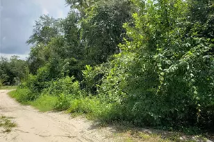 Pine Valley Dr, Paisley, FL 32767 - Photo 1