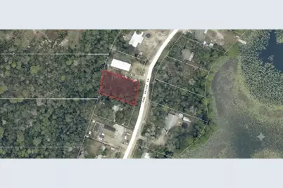 Pine Valley Drive, Paisley, FL 32767 - Photo 2