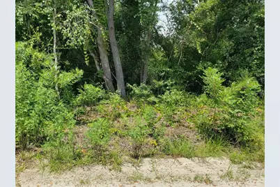 Pine Valley Drive, Paisley, FL 32767 - Photo 10