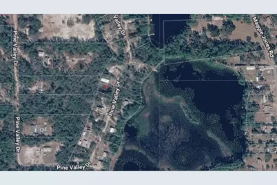 Pine Valley Drive, Paisley, FL 32767 - Photo 4