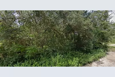 Pine Valley Drive, Paisley, FL 32767 - Photo 8