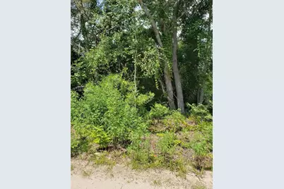 Pine Valley Drive, Paisley, FL 32767 - Photo 12