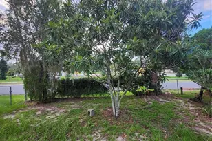 1427 SE 1st Ave, Gainesville, FL 32641 - Photo 16