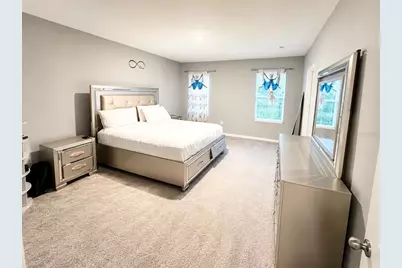 3817 Sunny Spring Street, Plant City, FL 33565 - Photo 8