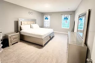 3817 Sunny Spring Street, Plant City, FL 33565 - Photo 8
