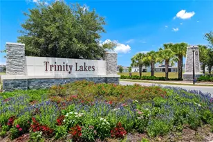 6939 Wilson Pasture Ave, Groveland, FL 34736 - Photo 44