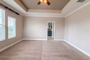 7304 Milestone Dr, Apollo Beach, FL 33572 - Photo 4